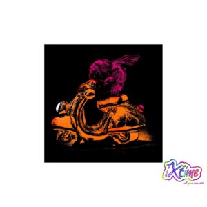 hummel auf vespa