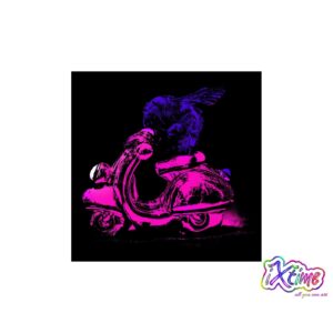 hummel auf vespa
