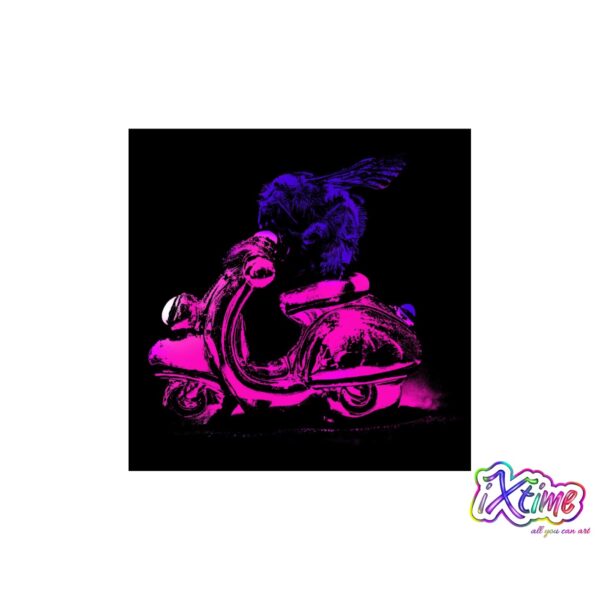hummel auf vespa