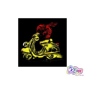 hummel auf vespa