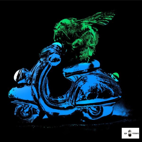 hummel auf vespa