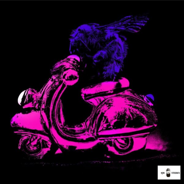 hummel auf vespa