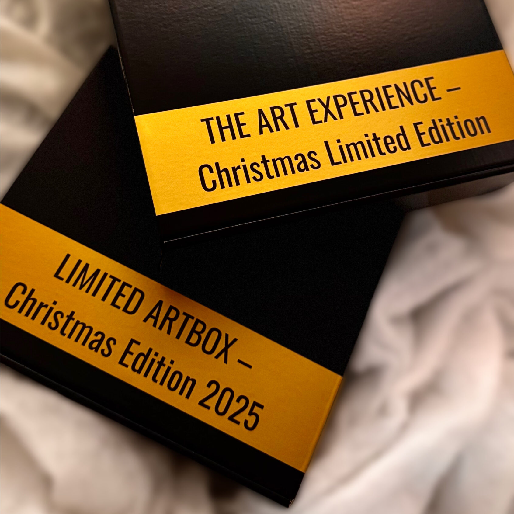 limited art box 1/10